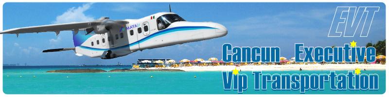 Cessna 206